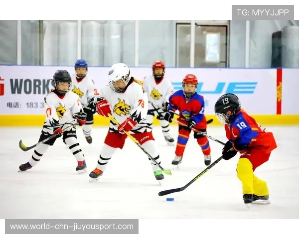 冰球运动员连摔三次仍抢断成功,全场起立 冰球运动员连摔三次仍抢断成功,全场起立